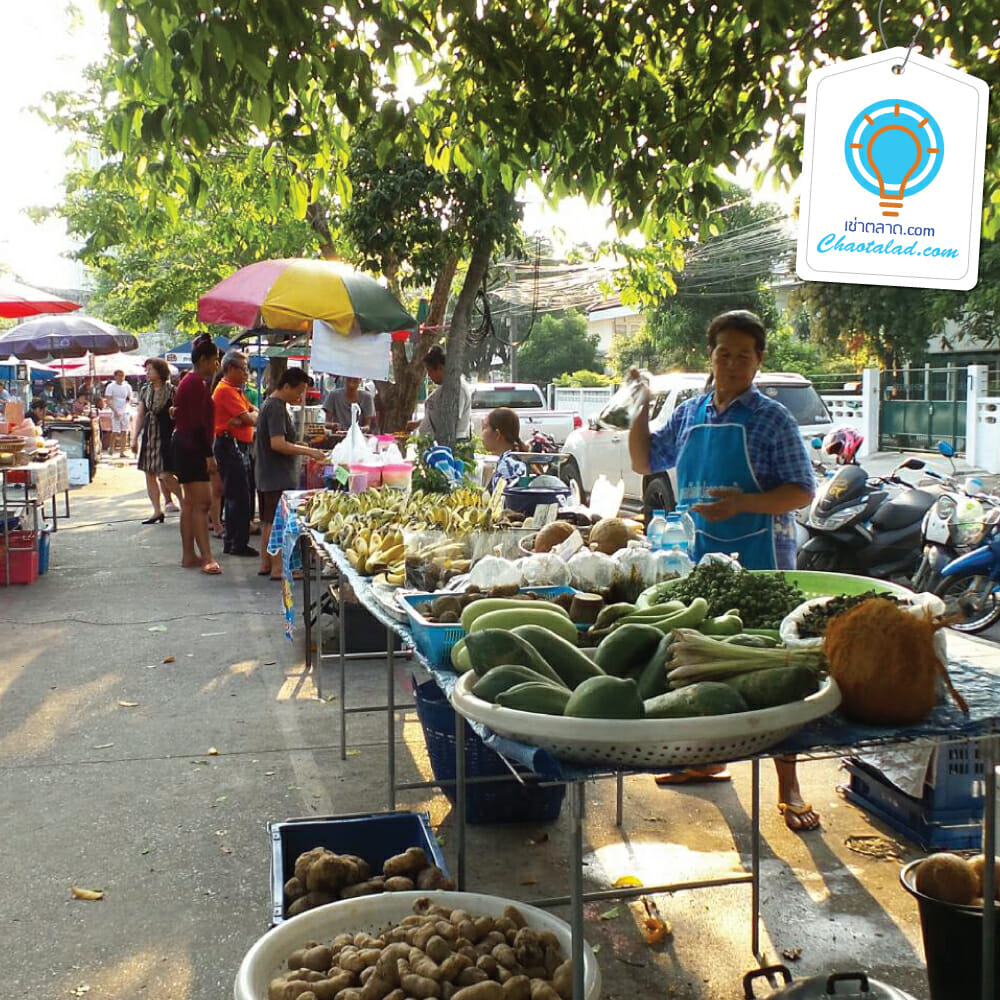 ตลาดปูนซิเมนต์ไทย ขายของตลาดกลางคืน เช่าที่ขายของ หาพื้นที่ขายของ เช่าที่ ขายของตลาดนัด